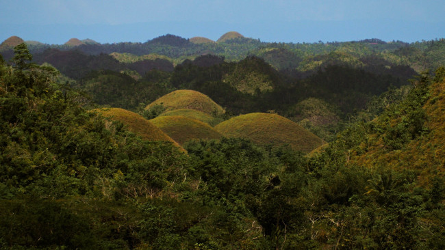 Обои картинки фото chocolate hills, bohol, philippines, природа, горы, chocolate, hills