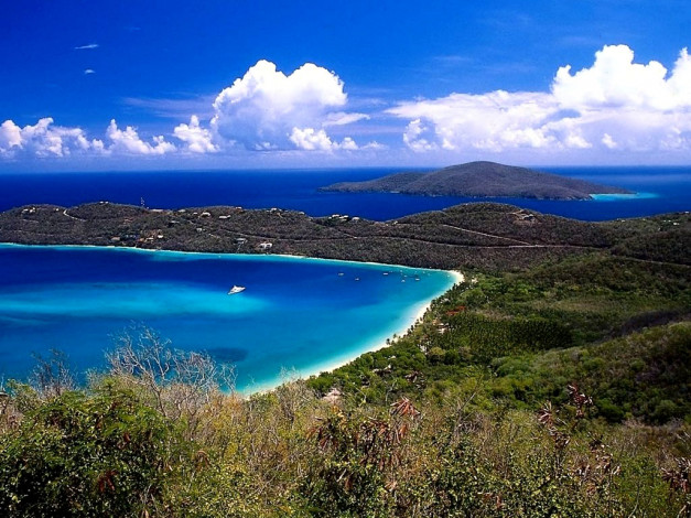 Обои картинки фото 