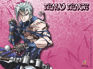 Картинка аниме tenjou tenge