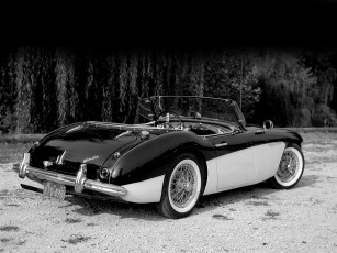 Картинка автомобили austin healy