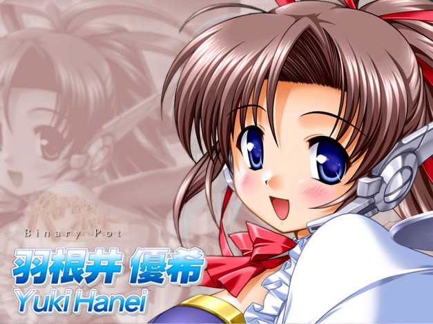 Обои картинки фото аниме, hani, operation, sanctuary