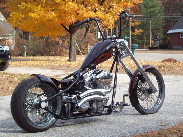 Обои картинки фото мотоциклы, customs