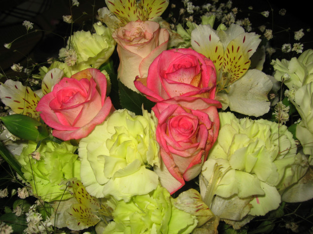 Обои картинки фото цветы, букеты, композиции