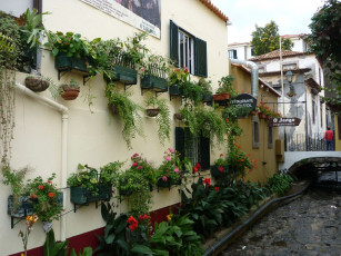 Картинка города улицы площади набережные portugal madeira funchal