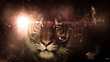 Картинка разное компьютерный дизайн тигр