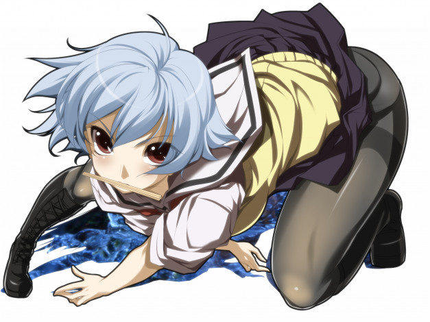 Обои картинки фото yarizui, sen, аниме, ben, to, ben-tou