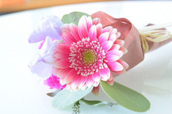 Картинка цветы герберы букетик