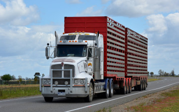 Картинка kenworth+t608+stockcrate автомобили kenworth тяжелый грузовик седельный тягач