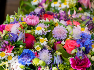 Картинка цветы разные+вместе гвоздика роза василёк ромашка букет разноцветный