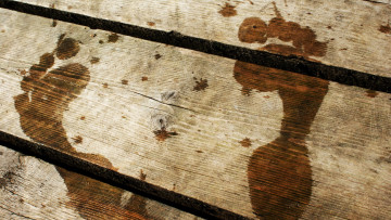 Картинка текстура+досок разное текстуры текстура досок