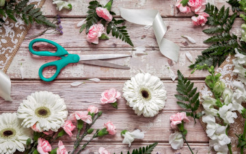 Картинка цветы разные+вместе лепестки ножницы гербера гвоздика папоротник львиный зев