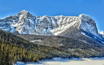 Картинка природа горы снег зима деревья лес