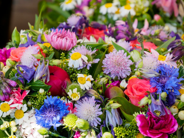 Обои картинки фото цветы, разные вместе, гвоздика, роза, василёк, ромашка, букет, разноцветный