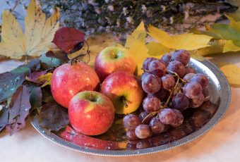 Картинка еда фрукты +ягоды блюдо