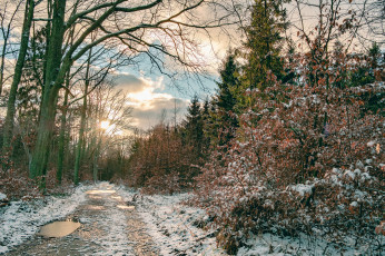 Картинка природа дороги тракт