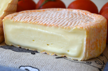 Картинка еда сырные+изделия сыр