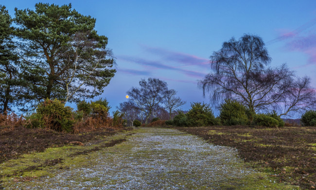 Обои картинки фото природа, дороги, тракт