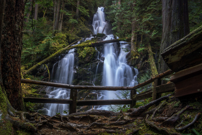 Обои картинки фото природа, водопады, лес, водопад, река