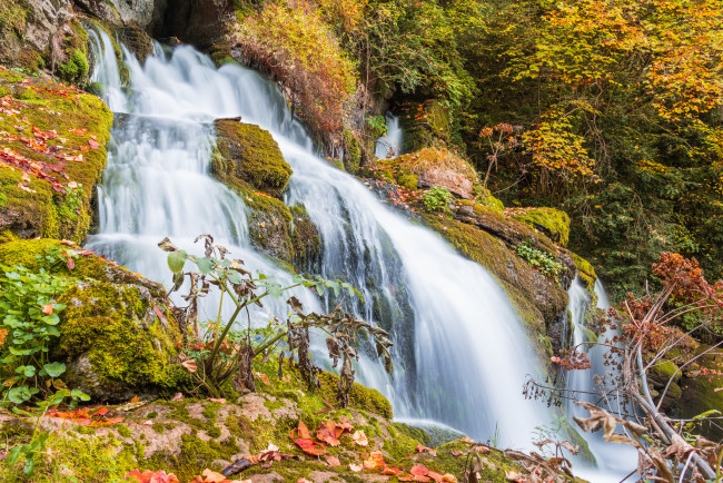 Обои картинки фото природа, водопады, река, водопад, лес