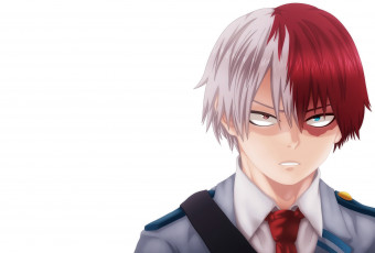 Картинка аниме boku+no+hero+academia тодороки шото