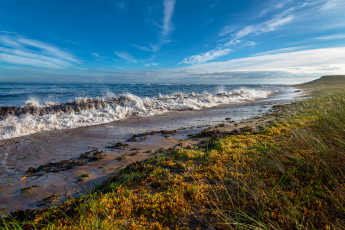 Картинка природа побережье простор