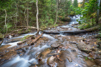 Картинка природа реки озера простор