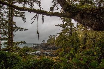 Картинка природа побережье простор