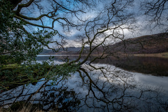 Картинка природа реки озера простор