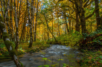 Картинка природа реки озера простор