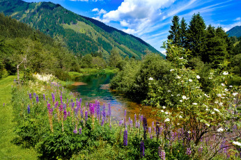 Картинка природа реки озера простор