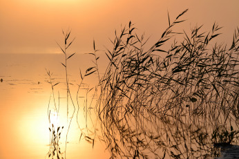 Картинка природа реки озера простор