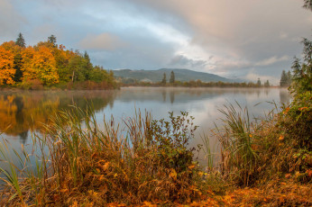 Картинка природа реки озера простор