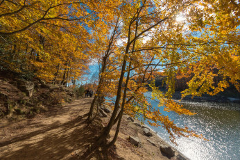 Картинка природа реки озера простор