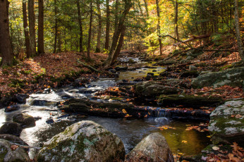 Картинка природа реки озера простор