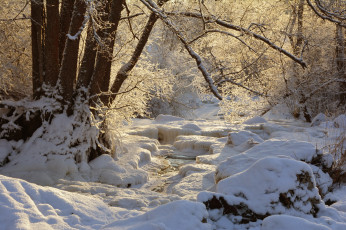 Картинка природа зима простор