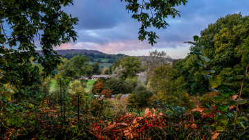 Картинка природа пейзажи простор