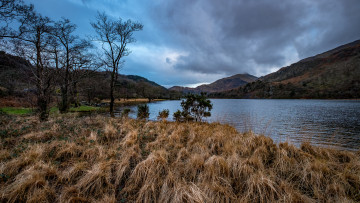 Картинка природа реки озера простор