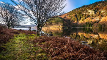 Картинка природа реки озера простор