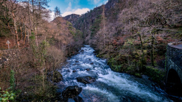 Картинка природа реки озера простор