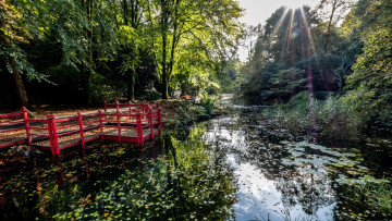 Картинка природа реки озера простор