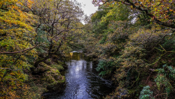 Картинка природа реки озера простор