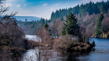 Картинка природа реки озера простор