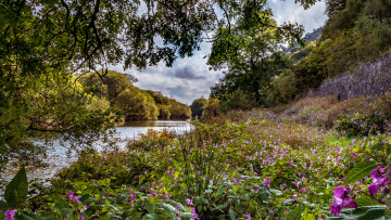 Картинка природа реки озера простор