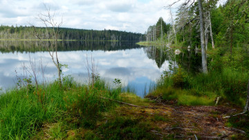 Картинка природа реки озера простор