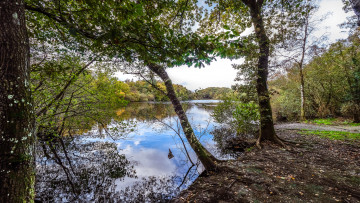 Картинка природа реки озера простор