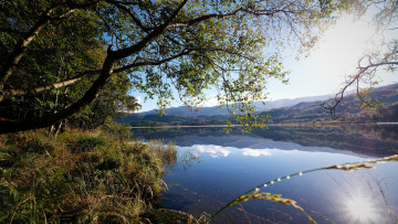 Картинка природа реки озера простор