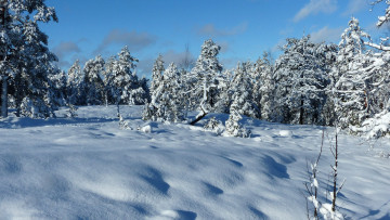 Картинка природа зима простор