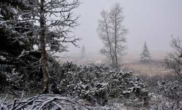 Картинка природа зима простор