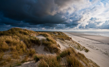 Картинка природа побережье простор