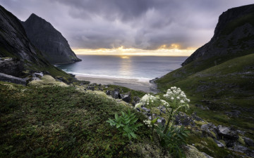 Картинка природа побережье простор